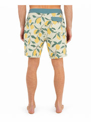 Phantom Eco Classic 18" | Hurley - Pineapple