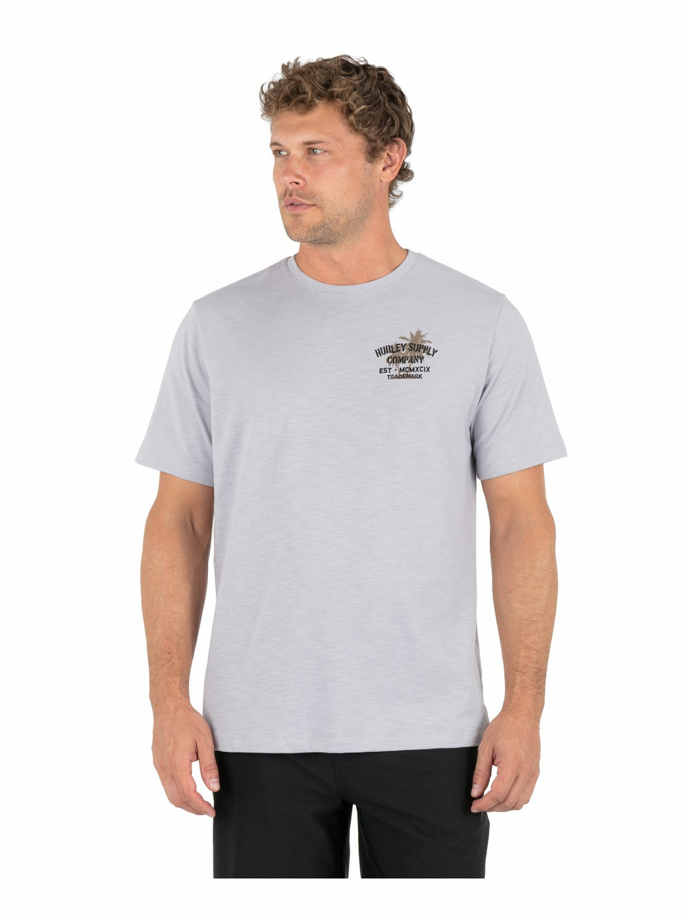 Shape Shack Slub Short Sleeve | Hurley - Light Asteroid